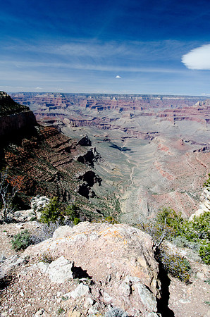 Vista