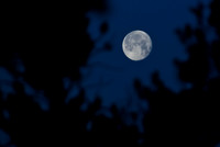 Near Full Moon Rising