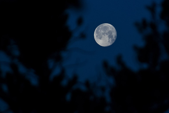Near Full Moon Rising