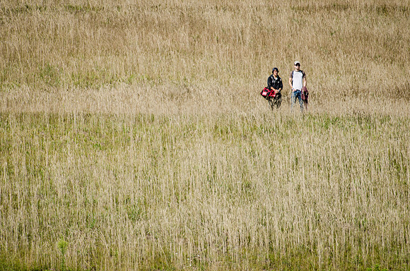 Spectators