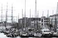 French Harbour