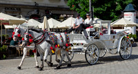 Carriage Ride