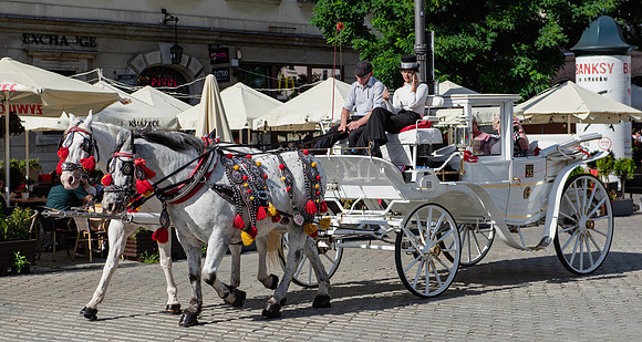 Carriage Ride