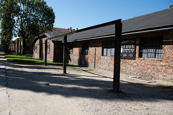 The Gallows