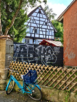 Back Alley