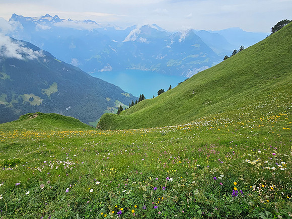 Stoos Ridge