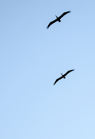 Soaring