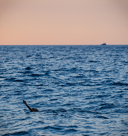 Backstroke