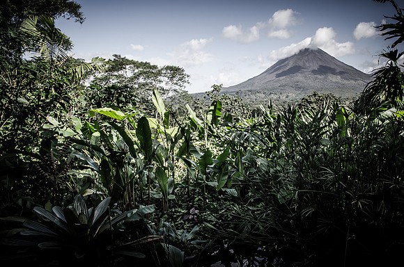 Arenal