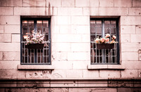 Flores en Viejo Montreal