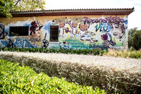 Graffiti