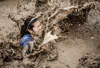 Splash