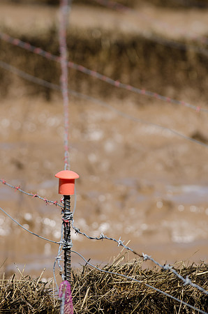 Barb Wire and Rebar for Breakfast