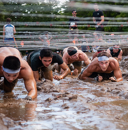 The Crawl
