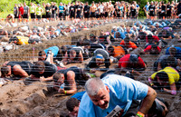 A Muddy Conga Line