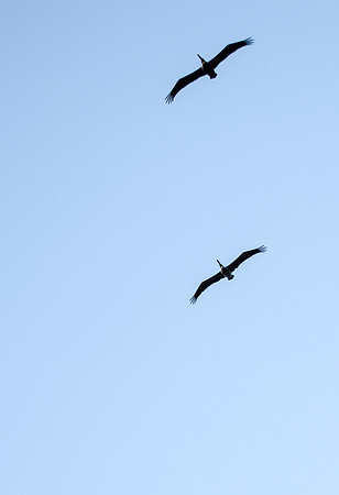 Soaring
