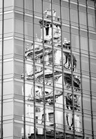 Contorted Reflection