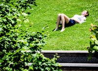 Lunch Nap