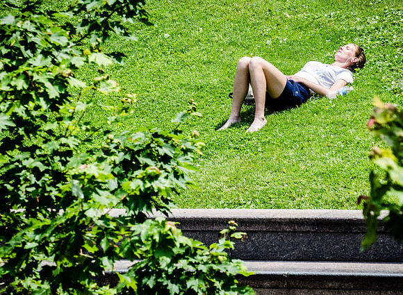 Lunch Nap